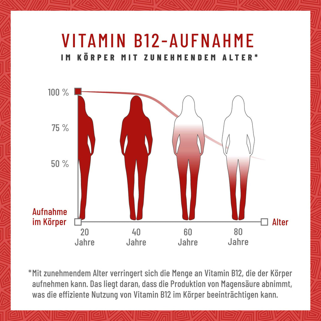 Zellkraft Vitamin B12 Aufnahme