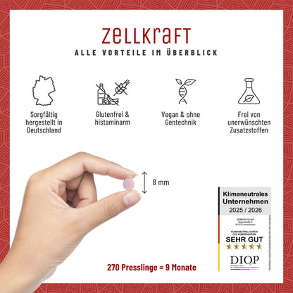 Zellkraft Vitamin B12 Presslinge Alle Vorteile 